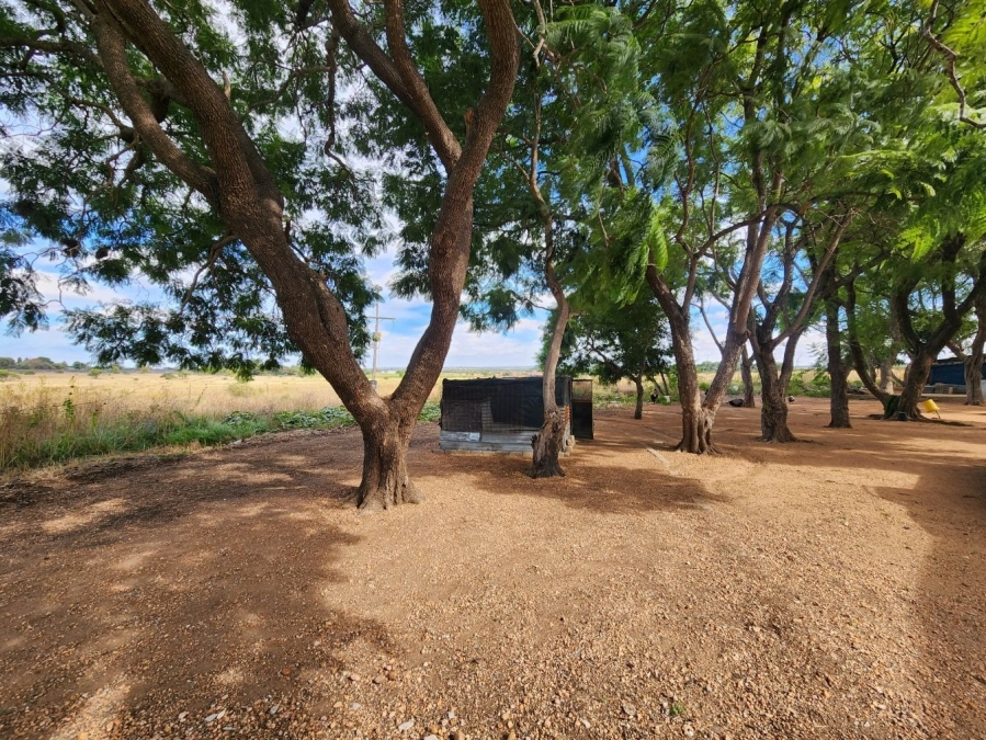 3 Bedroom Property for Sale in Doornbult Limpopo