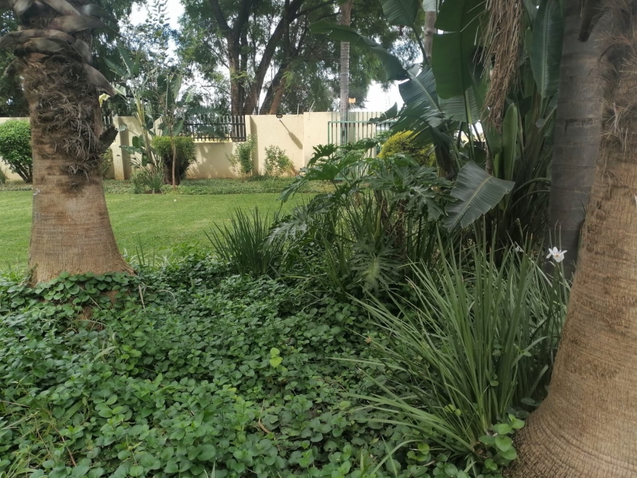 7 Bedroom Property for Sale in Bela Bela Limpopo