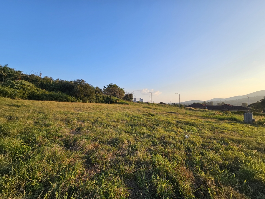 0 Bedroom Property for Sale in Louis Trichardt Limpopo