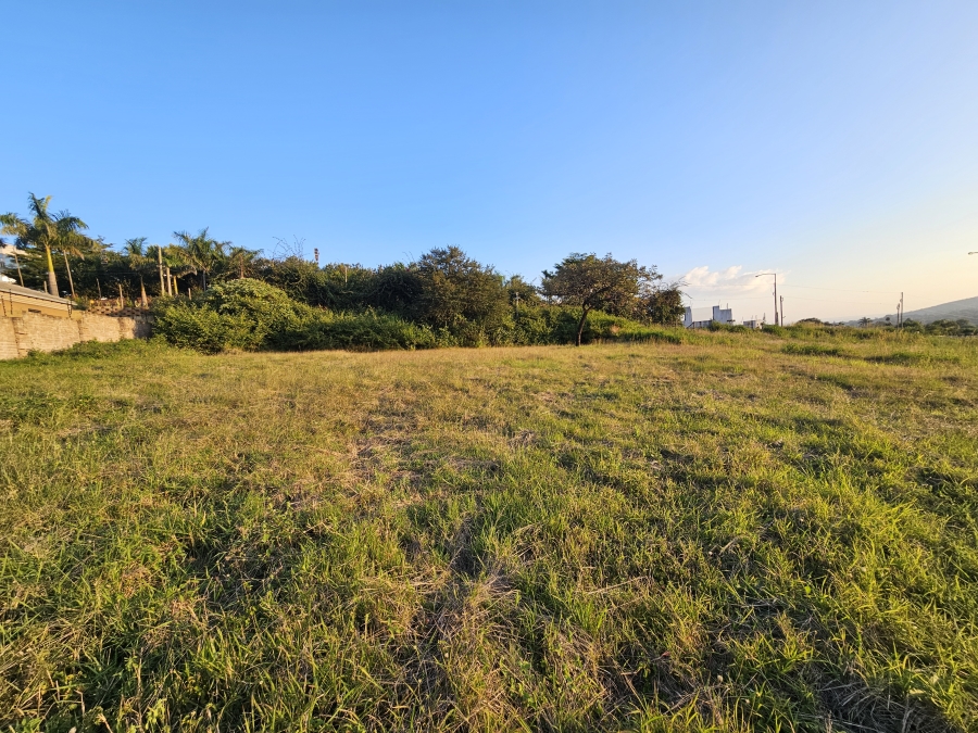 0 Bedroom Property for Sale in Louis Trichardt Limpopo