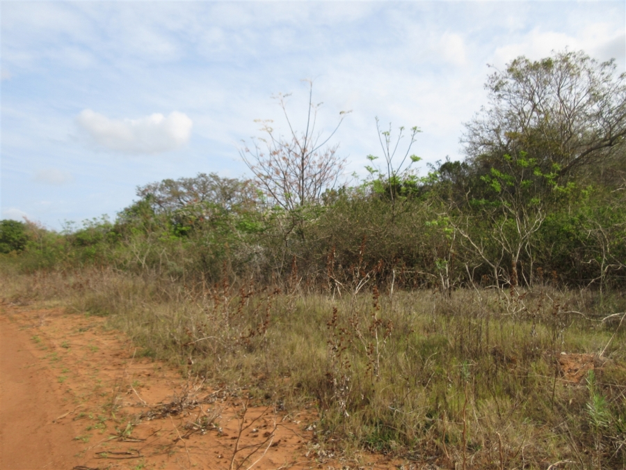 0 Bedroom Property for Sale in Bela Bela Limpopo