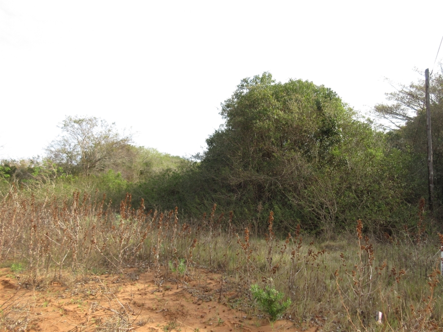 0 Bedroom Property for Sale in Bela Bela Limpopo