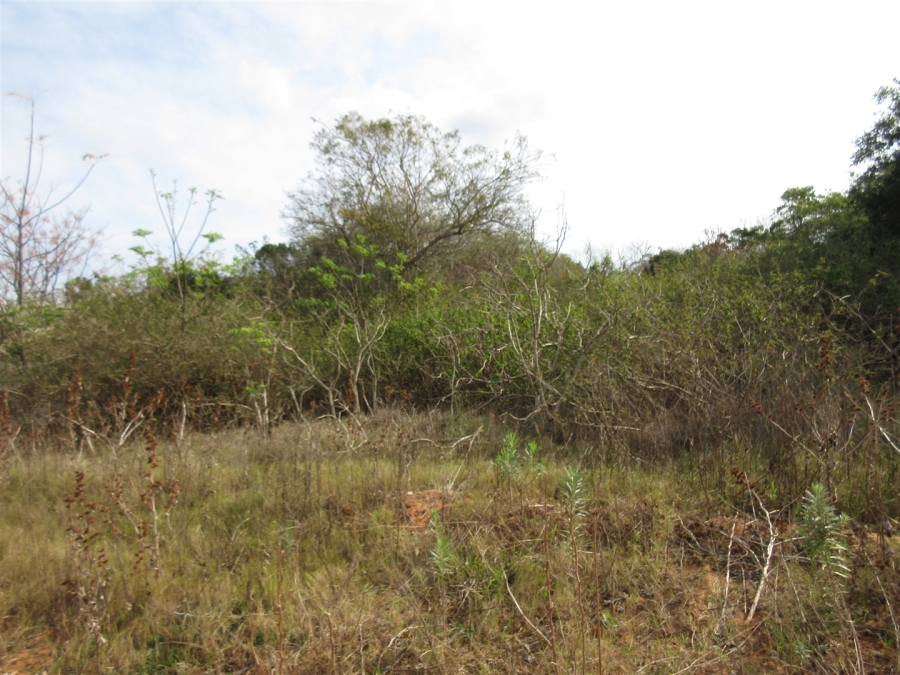 0 Bedroom Property for Sale in Bela Bela Limpopo