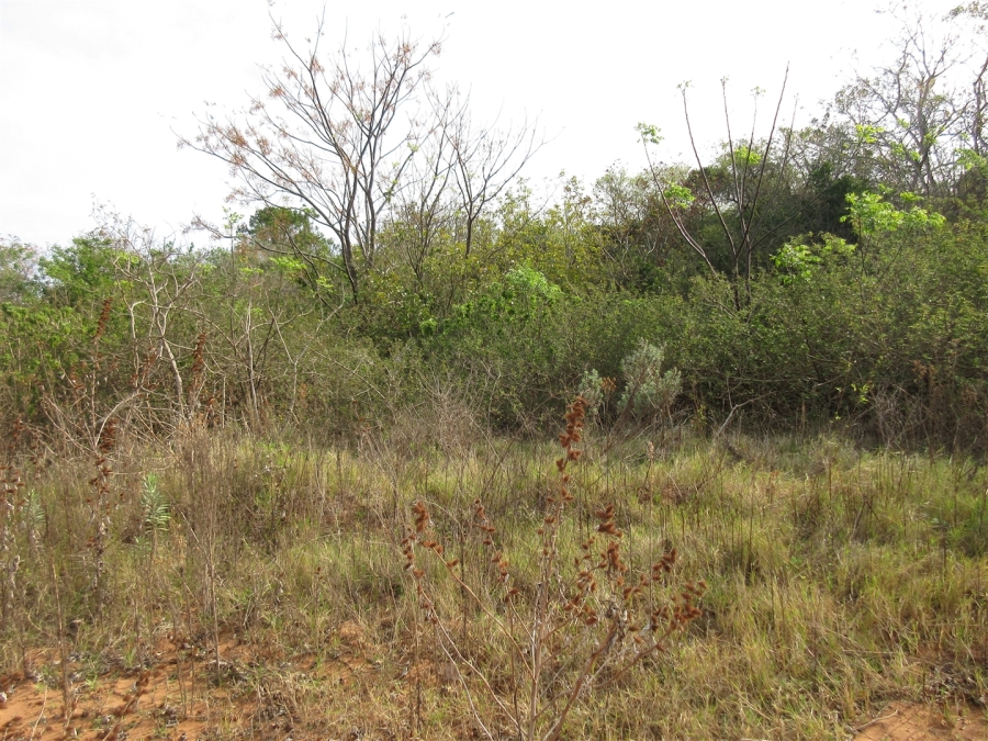 0 Bedroom Property for Sale in Bela Bela Limpopo