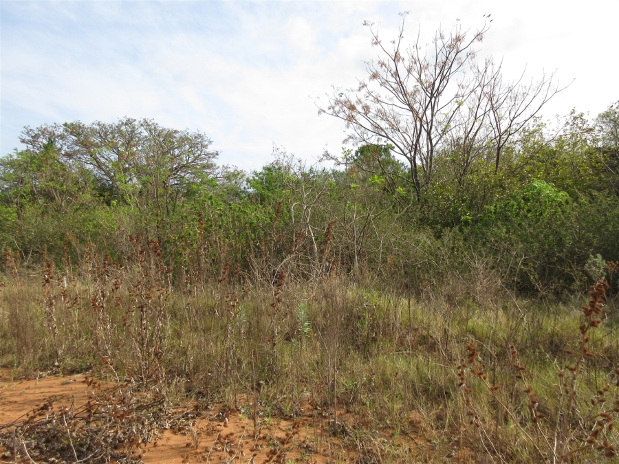 0 Bedroom Property for Sale in Bela Bela Limpopo
