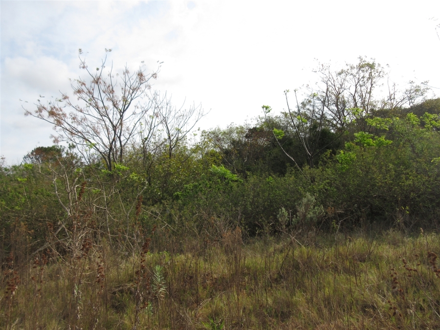 0 Bedroom Property for Sale in Bela Bela Limpopo