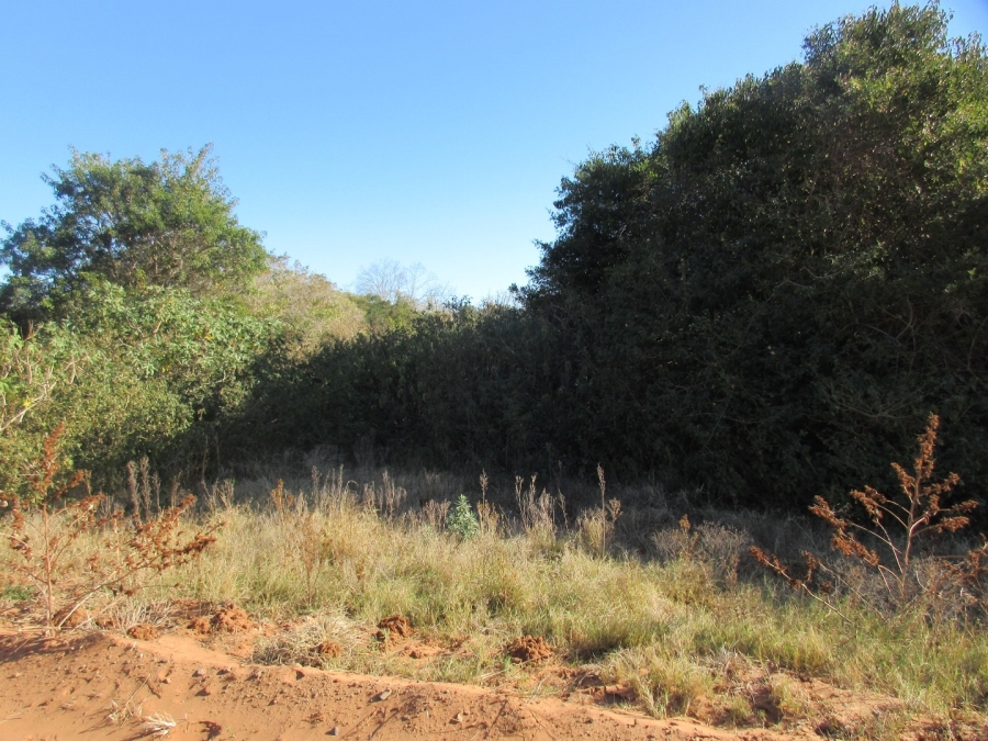0 Bedroom Property for Sale in Bela Bela Limpopo