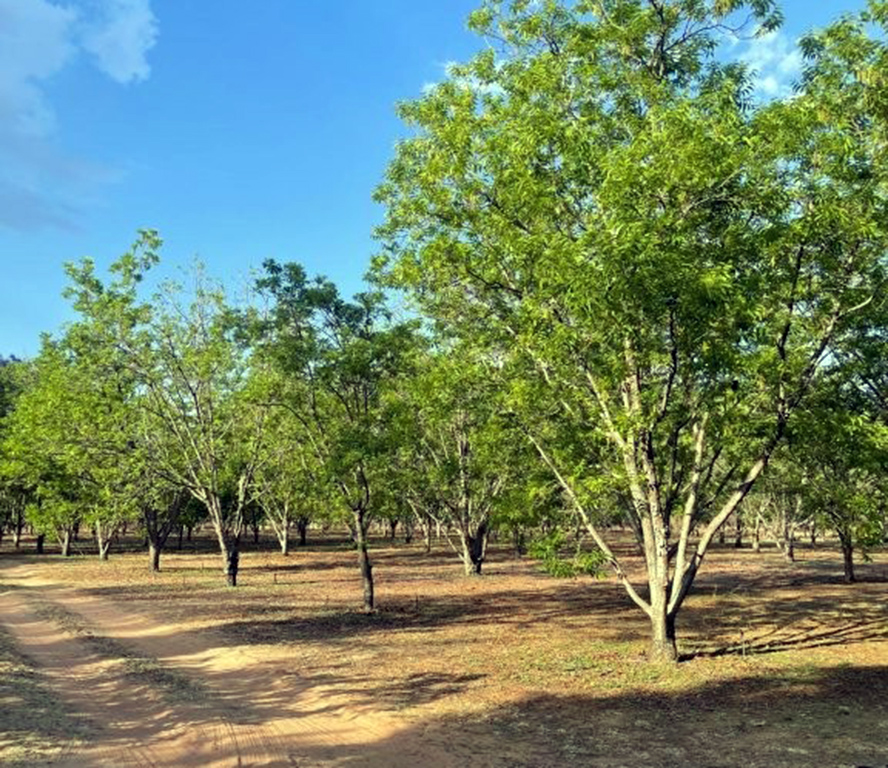 Commercial Property for Sale in Bela Bela Limpopo