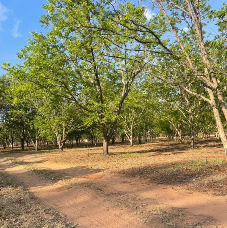 Commercial Property for Sale in Bela Bela Limpopo