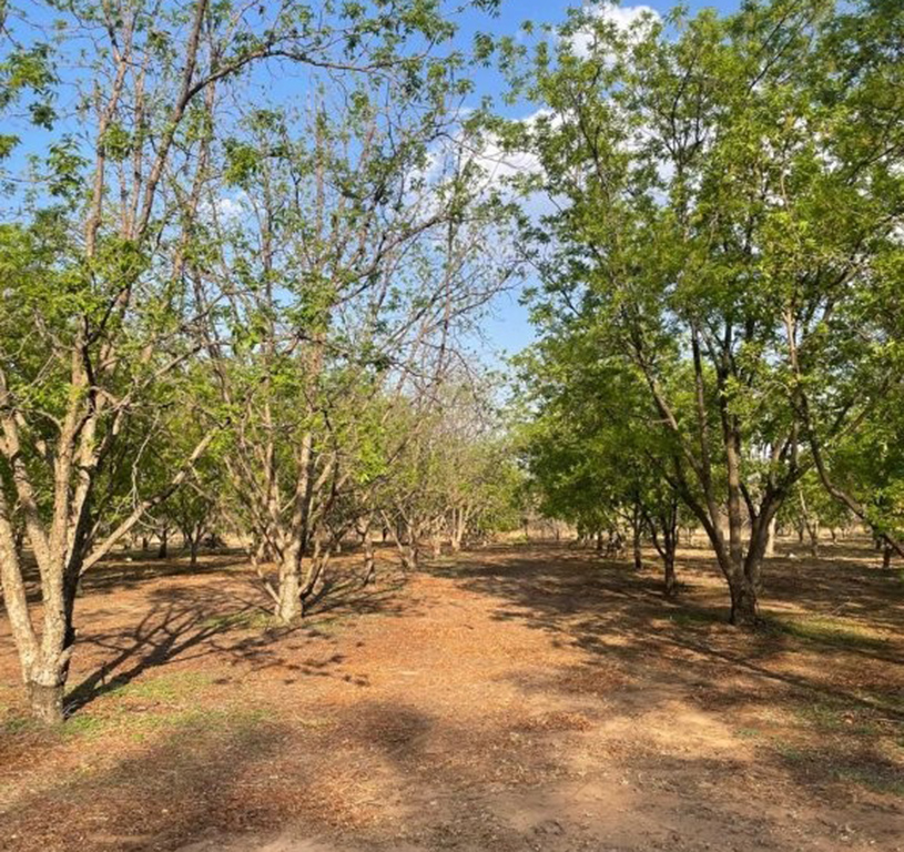 Commercial Property for Sale in Bela Bela Limpopo