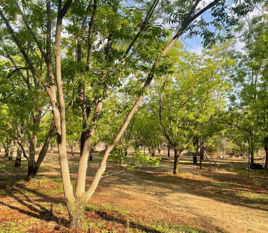 Commercial Property for Sale in Bela Bela Limpopo