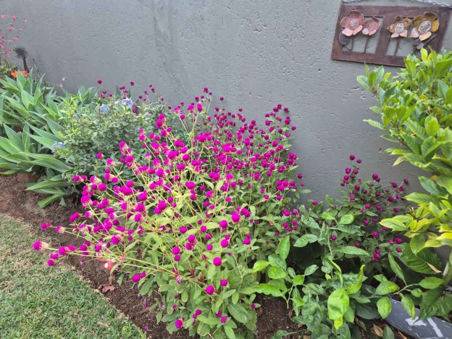 3 Bedroom Property for Sale in Mookgopong Limpopo