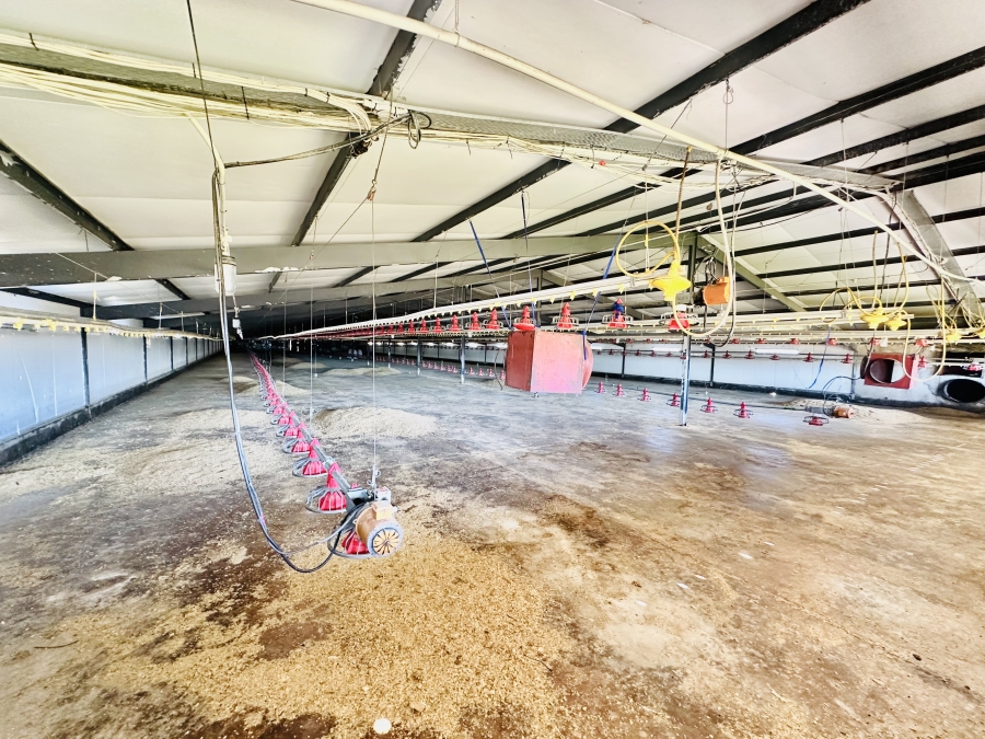 Commercial Property for Sale in Polokwane Rural Limpopo