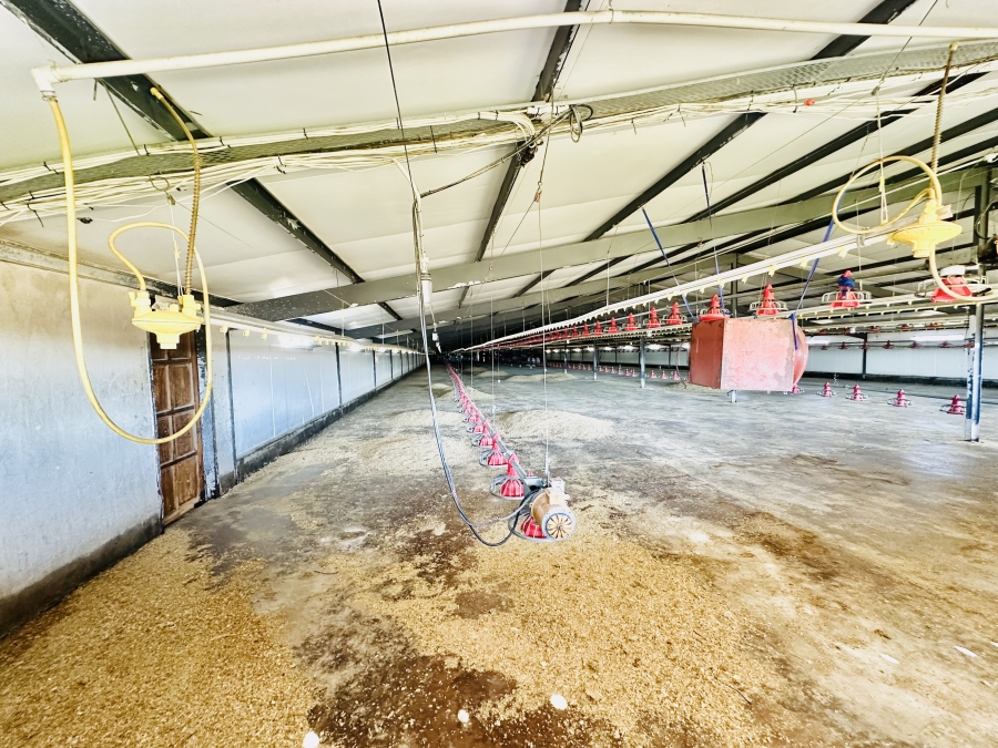 Commercial Property for Sale in Polokwane Rural Limpopo