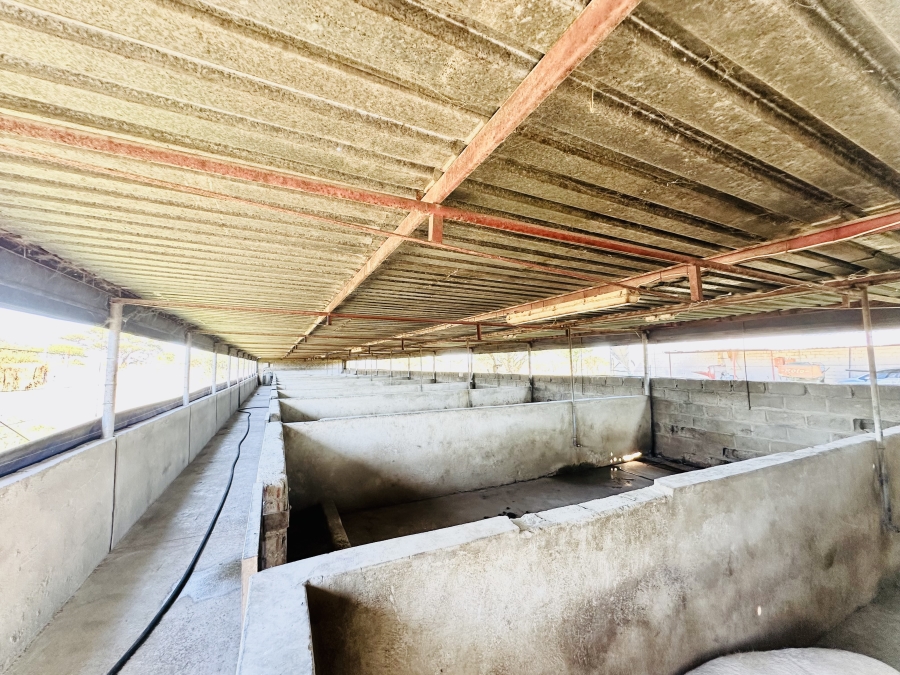 Commercial Property for Sale in Polokwane Rural Limpopo