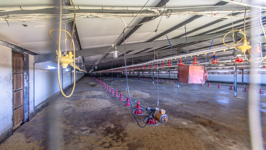 Commercial Property for Sale in Polokwane Rural Limpopo
