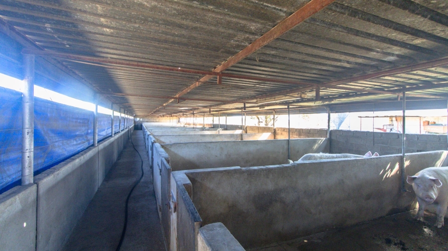 Commercial Property for Sale in Polokwane Rural Limpopo