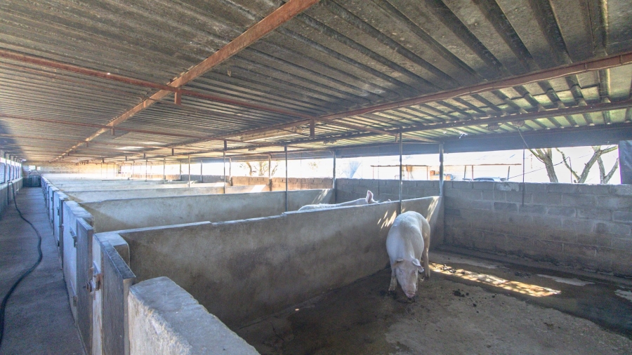 Commercial Property for Sale in Polokwane Rural Limpopo