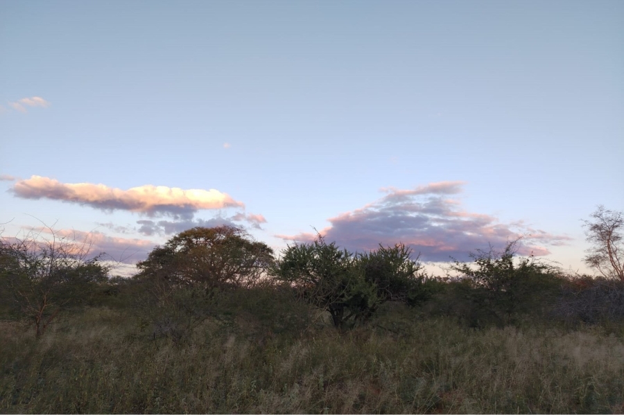 0 Bedroom Property for Sale in Tom Burke Limpopo
