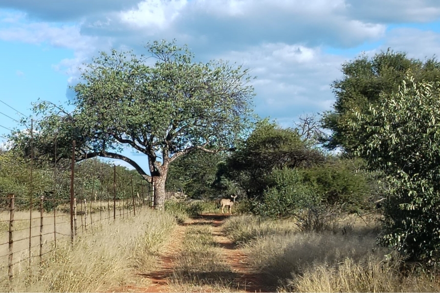 0 Bedroom Property for Sale in Tom Burke Limpopo