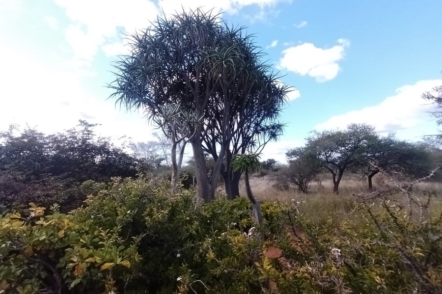 0 Bedroom Property for Sale in Tom Burke Limpopo