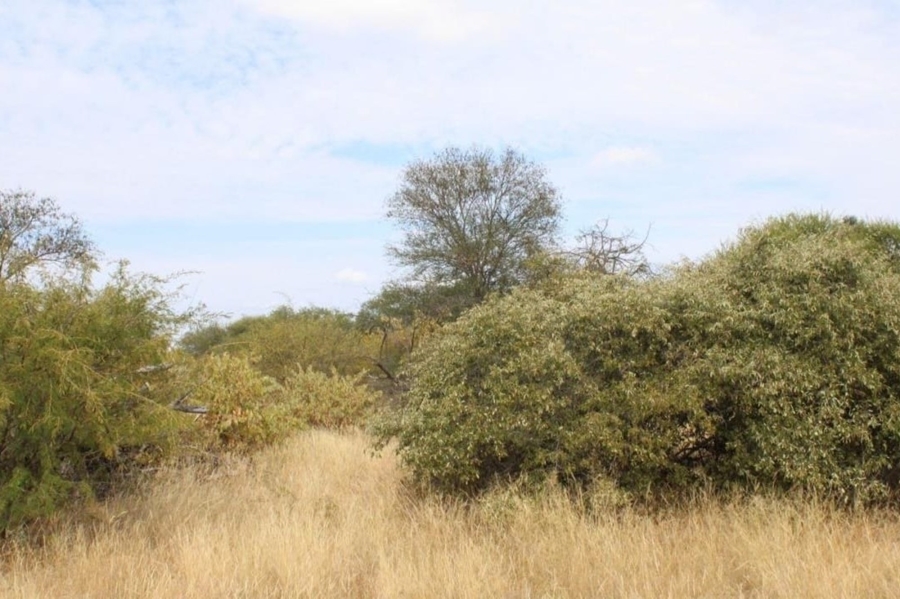 0 Bedroom Property for Sale in Tom Burke Limpopo