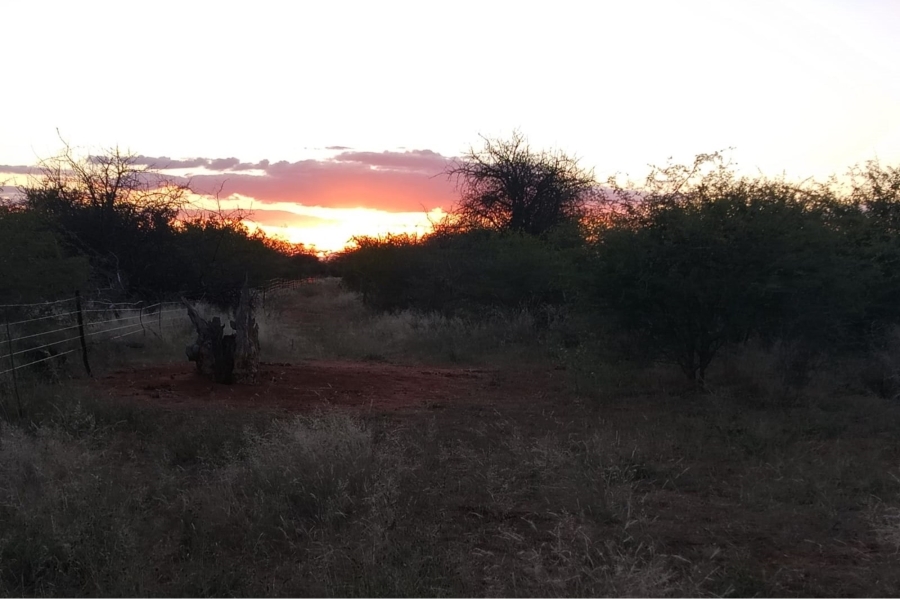 0 Bedroom Property for Sale in Tom Burke Limpopo