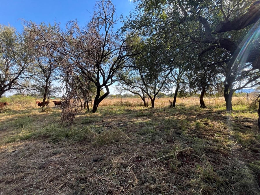 1 Bedroom Property for Sale in Bela Bela Limpopo
