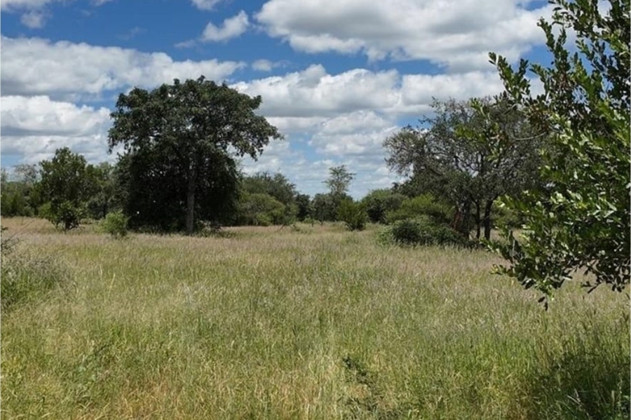 0 Bedroom Property for Sale in Lephalale Limpopo