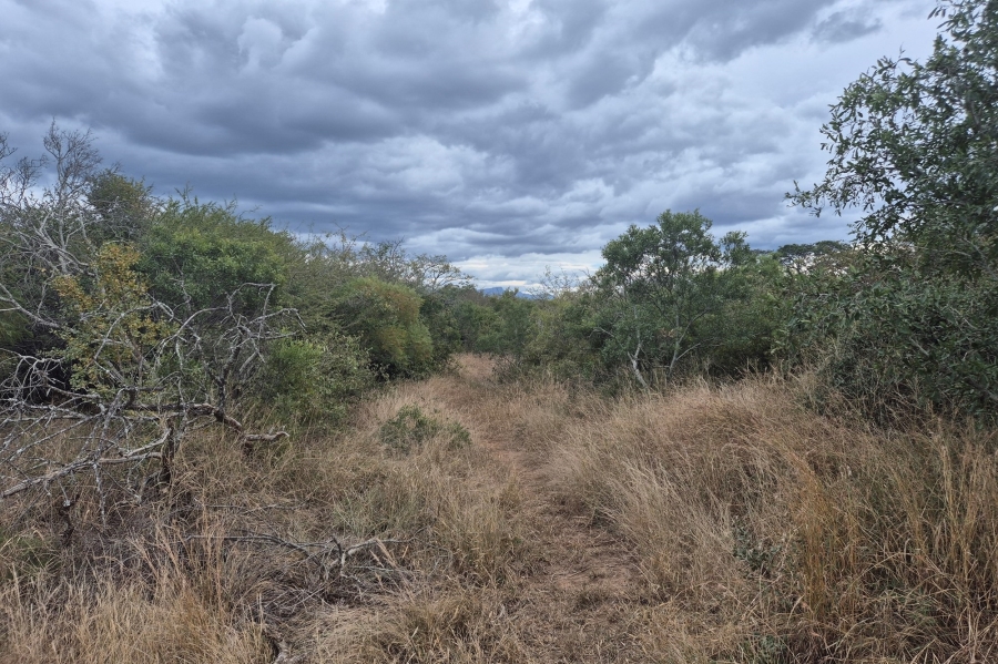 0 Bedroom Property for Sale in Moditlo Wildlife Estate Limpopo