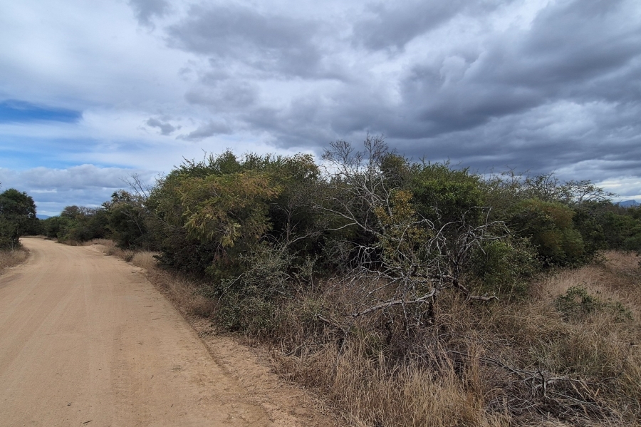 0 Bedroom Property for Sale in Moditlo Wildlife Estate Limpopo