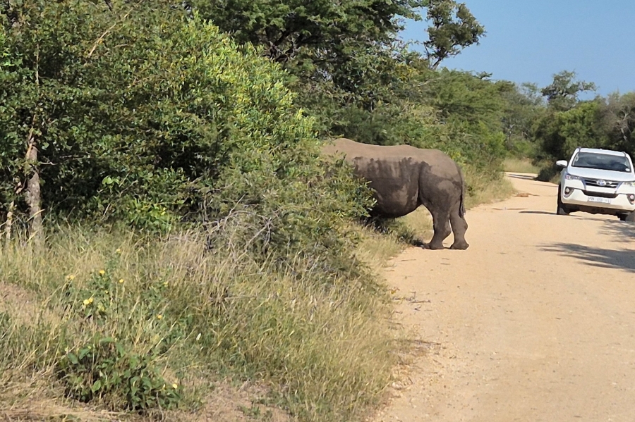 0 Bedroom Property for Sale in Moditlo Wildlife Estate Limpopo