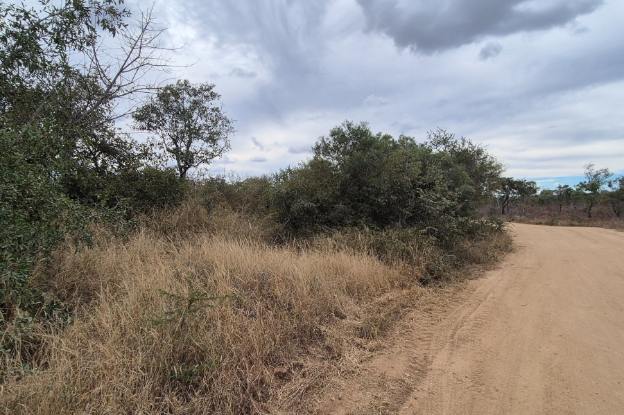 0 Bedroom Property for Sale in Moditlo Wildlife Estate Limpopo
