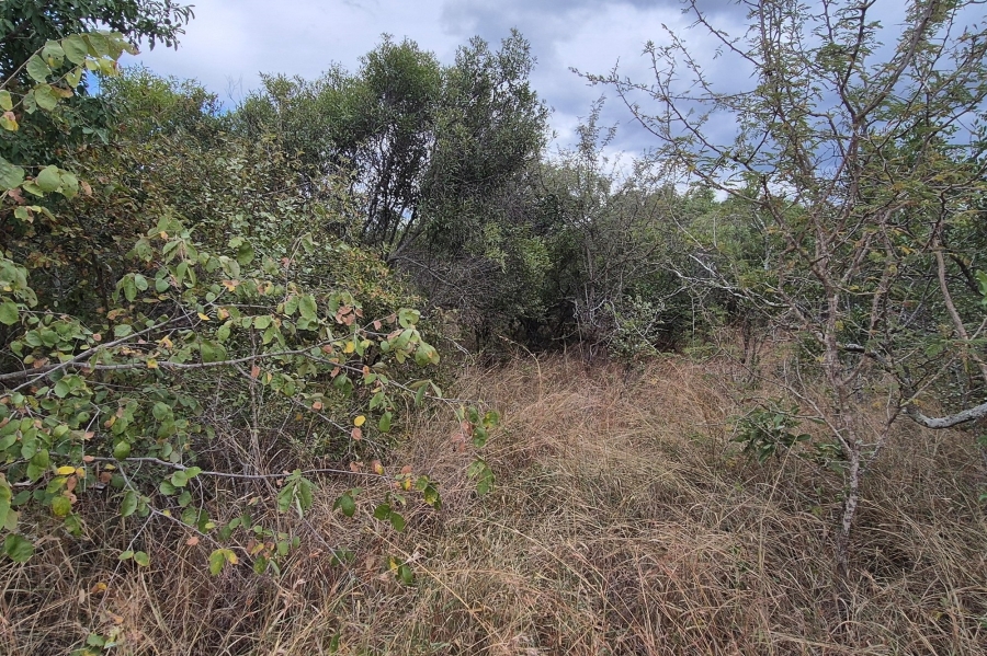 0 Bedroom Property for Sale in Moditlo Wildlife Estate Limpopo