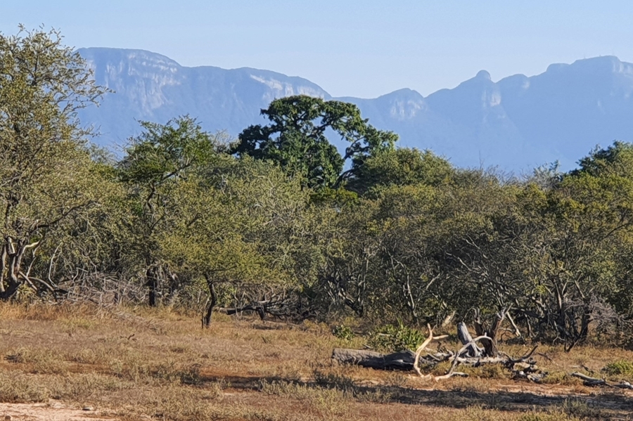 0 Bedroom Property for Sale in Moditlo Wildlife Estate Limpopo