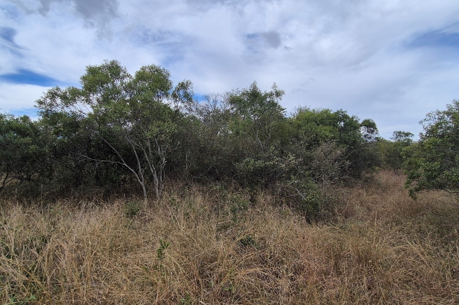 0 Bedroom Property for Sale in Moditlo Wildlife Estate Limpopo