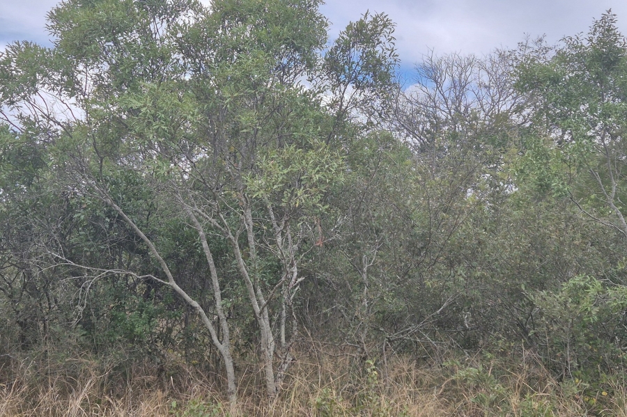 0 Bedroom Property for Sale in Moditlo Wildlife Estate Limpopo