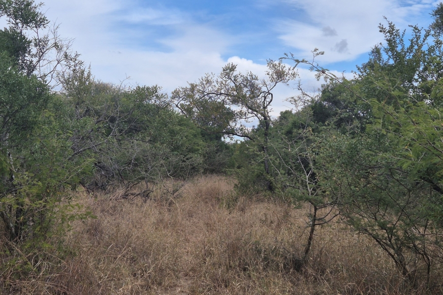 0 Bedroom Property for Sale in Moditlo Wildlife Estate Limpopo
