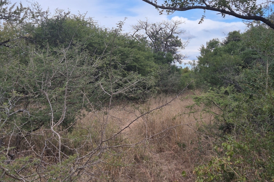 0 Bedroom Property for Sale in Moditlo Wildlife Estate Limpopo
