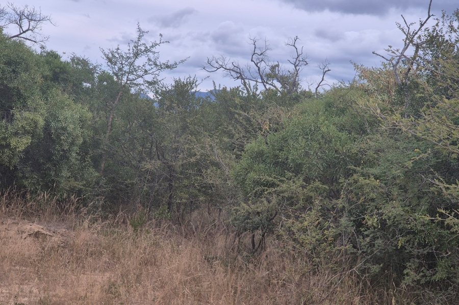 0 Bedroom Property for Sale in Moditlo Wildlife Estate Limpopo