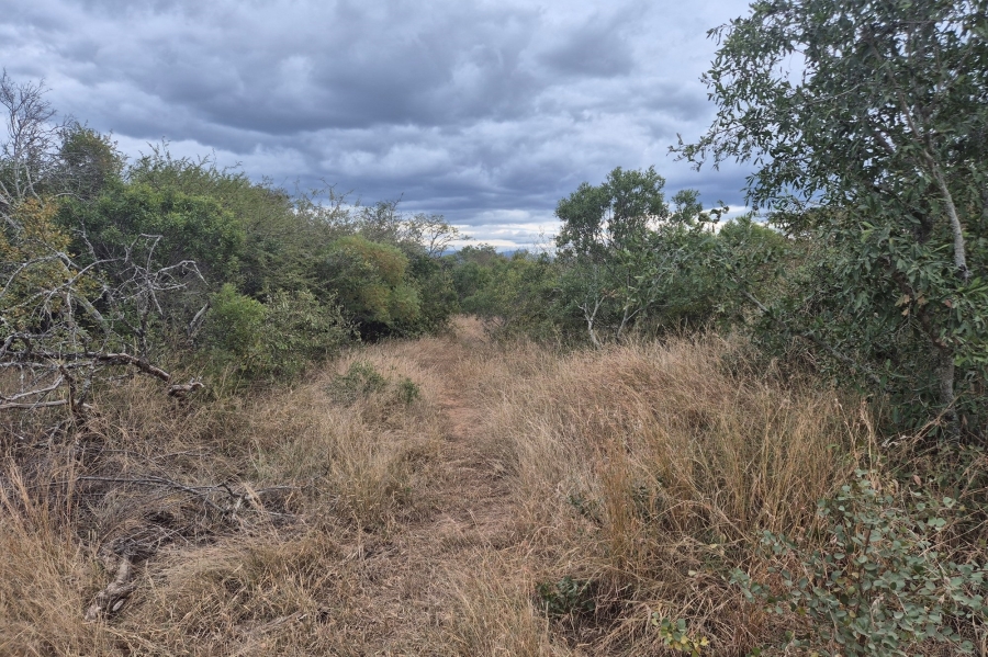 0 Bedroom Property for Sale in Moditlo Wildlife Estate Limpopo