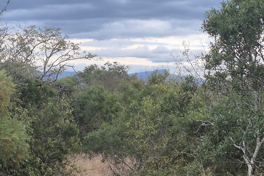 0 Bedroom Property for Sale in Moditlo Wildlife Estate Limpopo