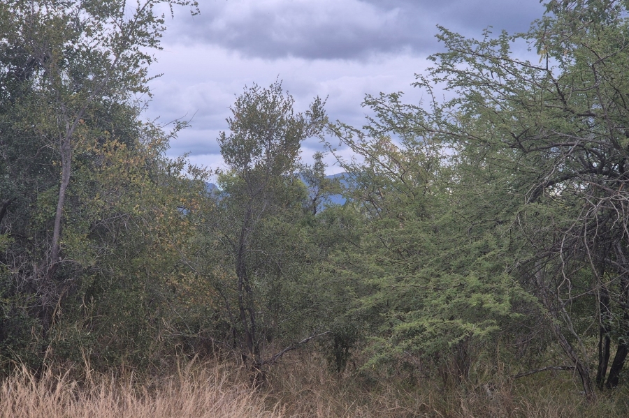 0 Bedroom Property for Sale in Moditlo Wildlife Estate Limpopo