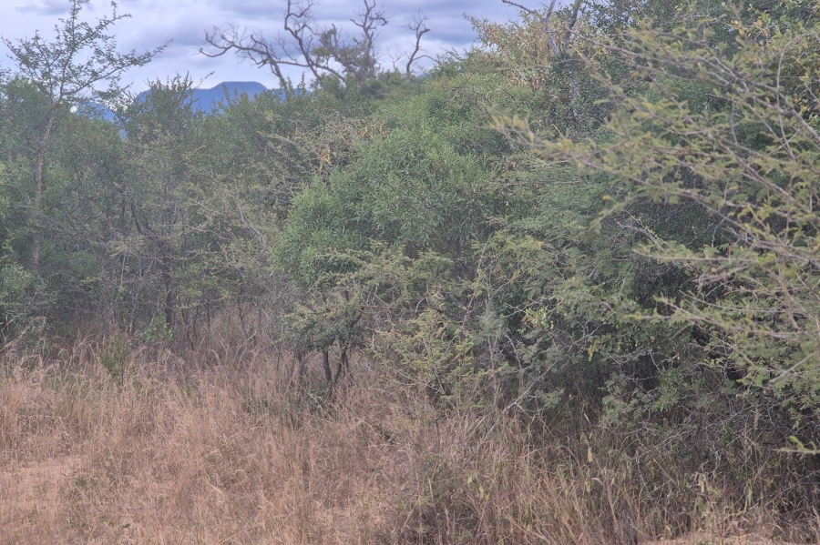 0 Bedroom Property for Sale in Moditlo Wildlife Estate Limpopo