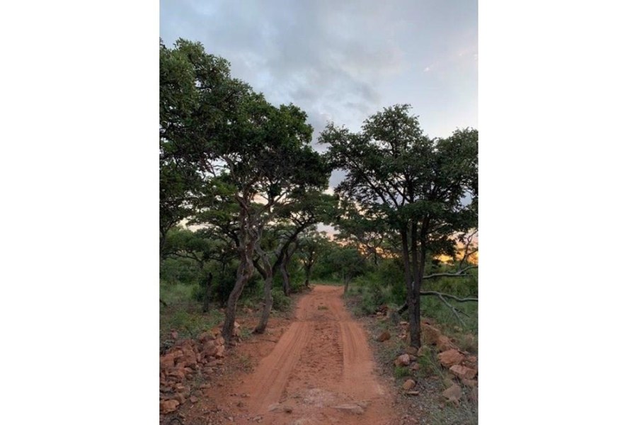 4 Bedroom Property for Sale in Bela Bela Limpopo