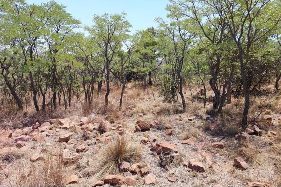 0 Bedroom Property for Sale in Marulani Private Nature Reserve Limpopo