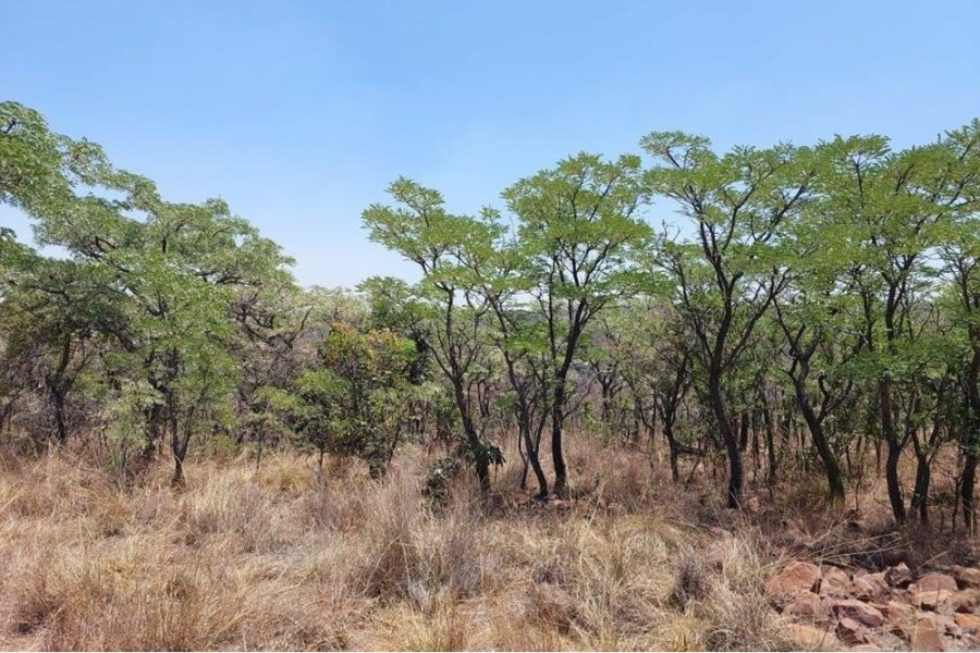 0 Bedroom Property for Sale in Marulani Private Nature Reserve Limpopo