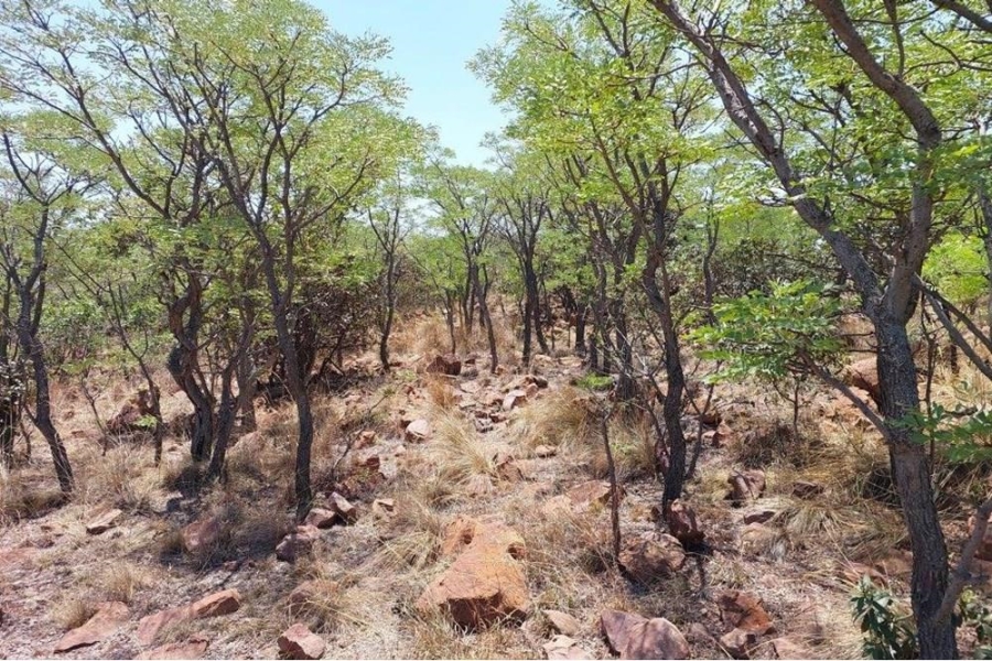 0 Bedroom Property for Sale in Marulani Private Nature Reserve Limpopo