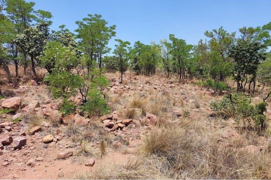0 Bedroom Property for Sale in Marulani Private Nature Reserve Limpopo