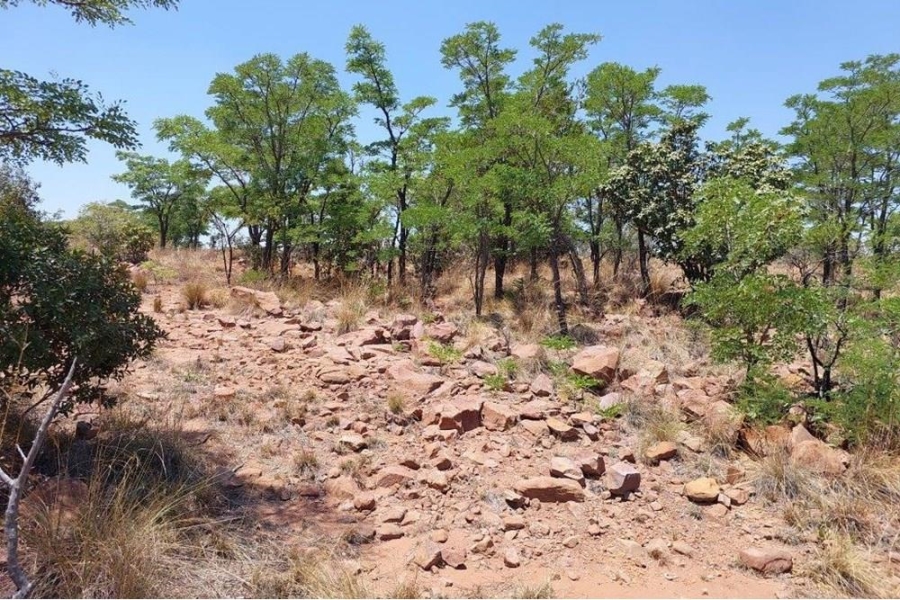 0 Bedroom Property for Sale in Marulani Private Nature Reserve Limpopo